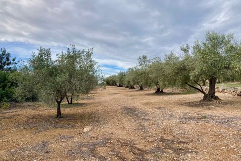 Finca i El Perello, Tarragona, El Perello - € 77.000 | Ref: Finca Manu Ampo - foto 31